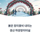 파스타입니다 하양점 | 경산 하양장미터널 교통편, 주차정보 가이드 (대부잠수교)