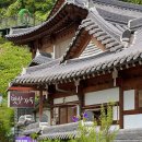 민들레한옥 | 전주 한옥스테이 감성숙소 햇살가득 민들레방 숙박 후기