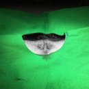 로하동물병원 이미지