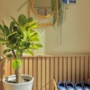 본에스테틱 - 원주시 | 본에스테틱