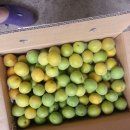 덕촌농장 이미지