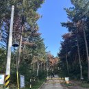 이마트24 건너편 공터 이미지