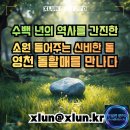 영천시민회관 바닥분 | 영천 돌할매를 만나다, 수백 년의 역사를 간진한 소원 들어주는 신비한 돌