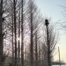 기산축산 | 월간 일상 로그 : 먹으러 다니는 여행이 최고지 | 2월 ②