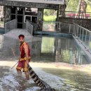 산호농장 이미지