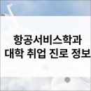 항공서비스학과 입시·전공·진로·취업·직업·자격증 정보 총정리