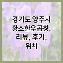 경기도 양주시 황소한우곱창, 리뷰, 후기, 위치