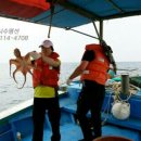 도화낚시 이미지