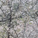 좋은 아침 이미지