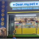 디어마이펫 이미지