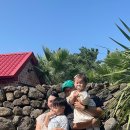 협재둥지 이미지