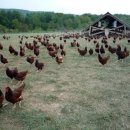 선호농장 이미지