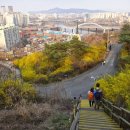 2018년 4월7일 (토요일) 남산~서울숲길걷기 이미지