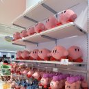 🎮 용산 아이파크몰 닌텐도샵 방문 후기 + 해피룸 랜덤박스 언박싱까지!