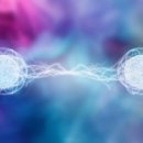 CW-2176-01 이미지