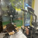 분당 정자역 미용실 ‘커틸다 헤어 살롱’ S컬펌 후기(여신머리 펌)