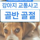 인제메디컬센터 이미지