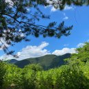 단양펜션소백스테이 | 단양 신축 펜션 소백스테이 우수 리뷰어 선정 이벤트