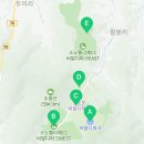 소노펠리체 컨트리클럽 비발디파크 마운틴 네이버블로그