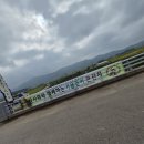 음성군농협쌀조합공동사업법인 | &lt;문화체험 / 전남 영광 묘량 가족친화문화프로그램 제1회 가을걷이 큰잔치 축제 방문 후기&gt;