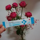 양심건강원 | 경성건강원에서 나온 복합 기능성 건강기능식품! 모유...만들어진 프로바이오틱스유산균 실제후기 2탄