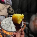 크로바주유소 | 강아지랑 캠핑하기! &lt;강화도 크로바 캠핑장&gt; 서울 근교/반려견 동반/일몰 맛집/오션뷰/뻘뷰