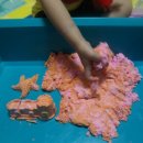 뽀송이네 목욕탕 이미지