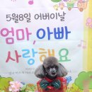 찬솔 이미지