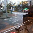 최순규의원 이미지