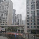 보드포인트