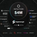 인튜이션 이미지