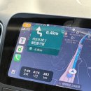 97 | 임산부 부산여행1편- 톤쇼우 심미안 조현화랑 남천모소리