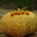 (주)비티시 | 2020. 4. 24 봄봄봄..