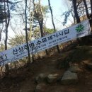 3.17 - 대전 산성이 눈에 번쩍... 산성 수목 제거 작업 중 이미지