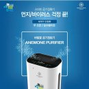 애니원코리아 이미지