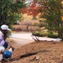 몽마르뜨공원 이미지