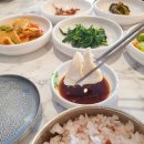 참대구해운대대구탕 이미지