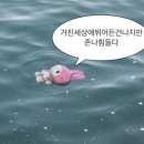 노인교육론 | 문화예술교육사 2급 자격증 취득 후기 中