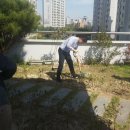 초지동주민센터 뉴스웨이브