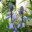 하늘정원2 이미지