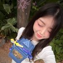 안경마을(See Channel) | 도쿄여행 3일차/ 도쿄 디즈니씨 DPA, 식당 예약