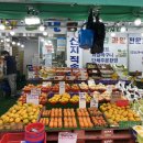 강서구 우장산역 전통시장 송화벽화시장 구경 후기