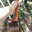 기타렐레(우쿨렐레) 이미지