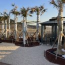 센토르7 이미지