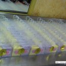 맛고을떡집 이미지