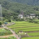 밀양-무안-무안-G-2 | 밀양 영산정사 네비만 믿고 가면 부처님 불상 못만나요! 진짜 찾아가는 길