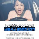 맑은숲고든몸한의원 이미지