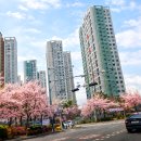 숨고르기 이미지