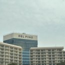 광장당구장 | 고성 가성비 숙소 소노벨델피노 숙박 후기