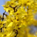 당고개길 이미지